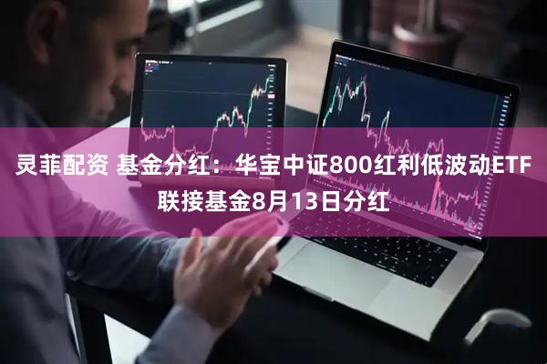 灵菲配资 基金分红：华宝中证800红利低波动ETF联接基金8月13日分红