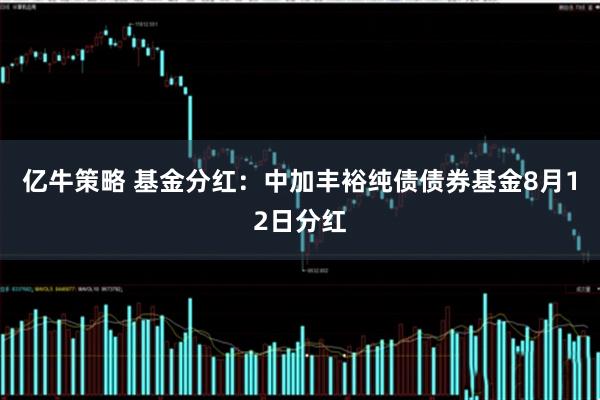 亿牛策略 基金分红：中加丰裕纯债债券基金8月12日分红