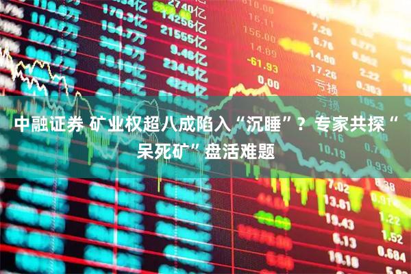 中融证券 矿业权超八成陷入“沉睡”？专家共探“呆死矿”盘活难题
