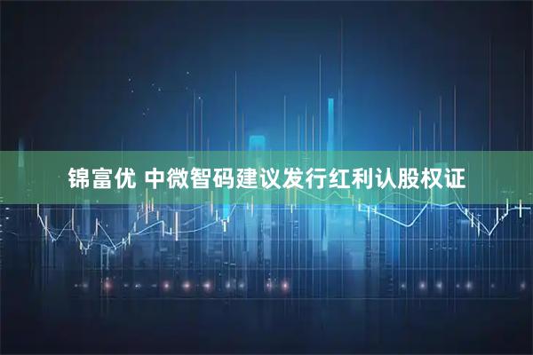 锦富优 中微智码建议发行红利认股权证