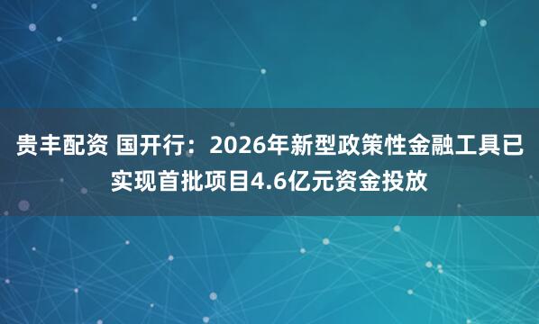 贵丰配资 国开行：2026年新型政策性金融工具已实现首批项目4.6亿元资金投放